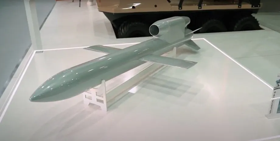 Крилата ракета "Фламінго": український прорив у новітній зброї